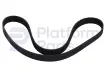 V-belt