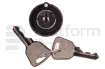 Switch, key, 3P maintained, key removal from left