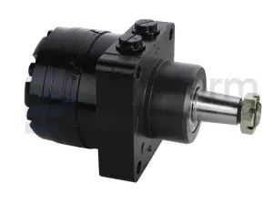 Hydraulic motor