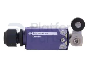 Limit switch