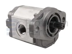 Hydraulische Pumpe