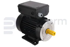 Motor eléctrico
