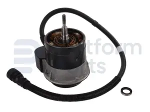 Drive motor, electric