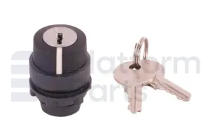Interruptor, llave, 3P fijas, quitar llave de 3 posiciones
