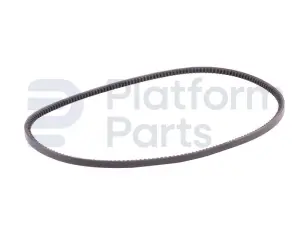 Alternator, riem