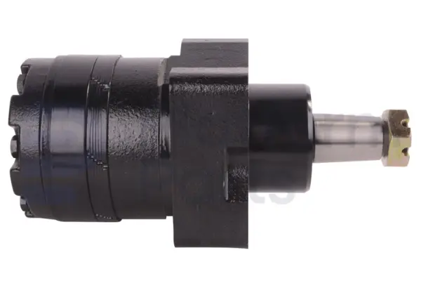 Drive motor, hydraulic