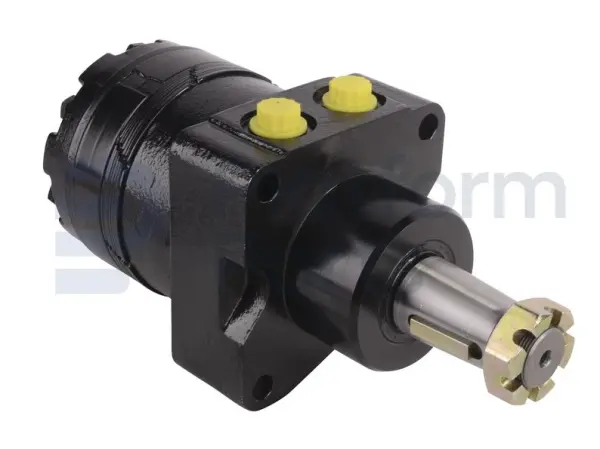 Drive motor, hydraulic