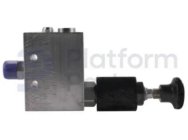 Manifold