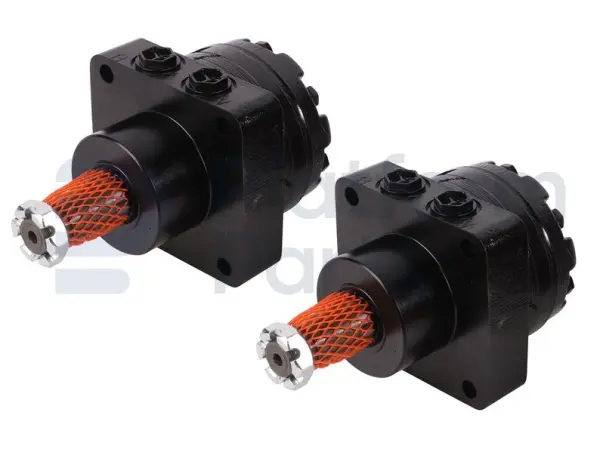 Drive motor, hydraulic