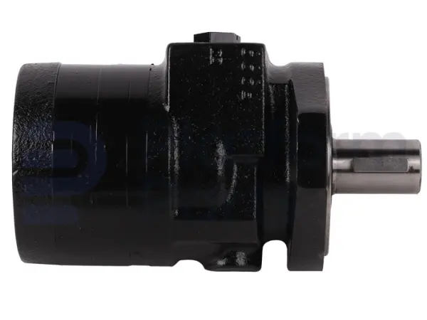 Drive motor, hydraulic