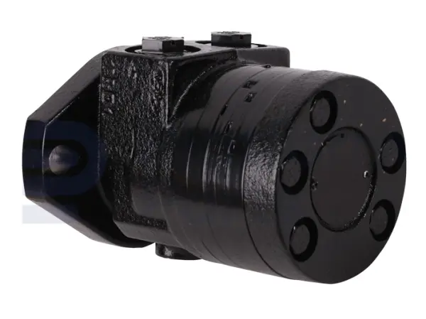 Drive motor, hydraulic