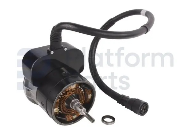 Drive motor, electric