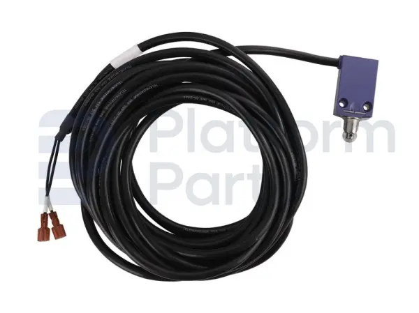 Limit switch