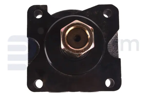 Traction motor