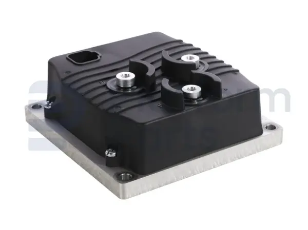 Elektronisches Kontrollgerät