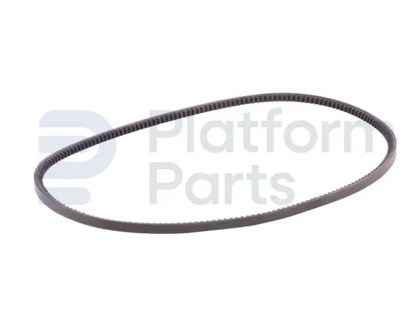 Alternator, riem