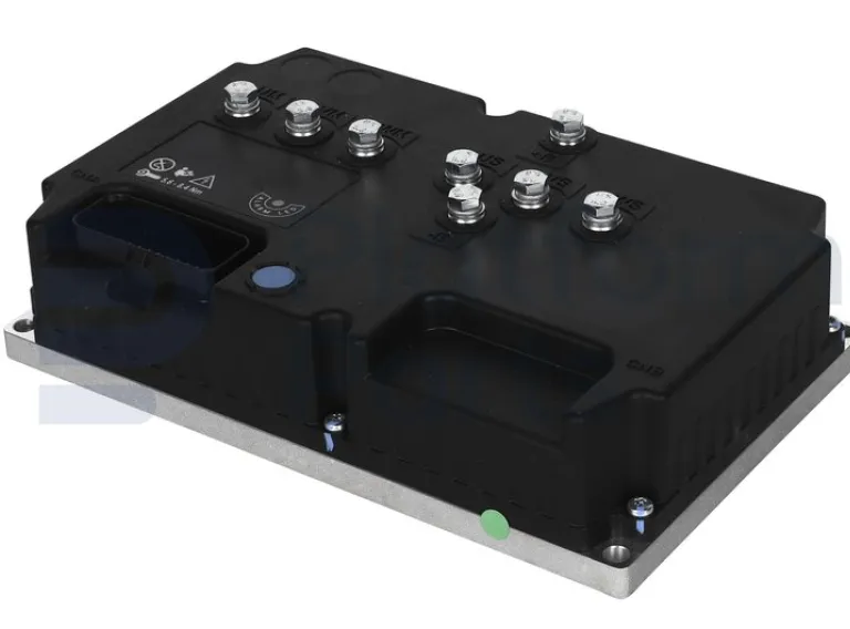 Dingli - Electronic control unit - DL-00006262