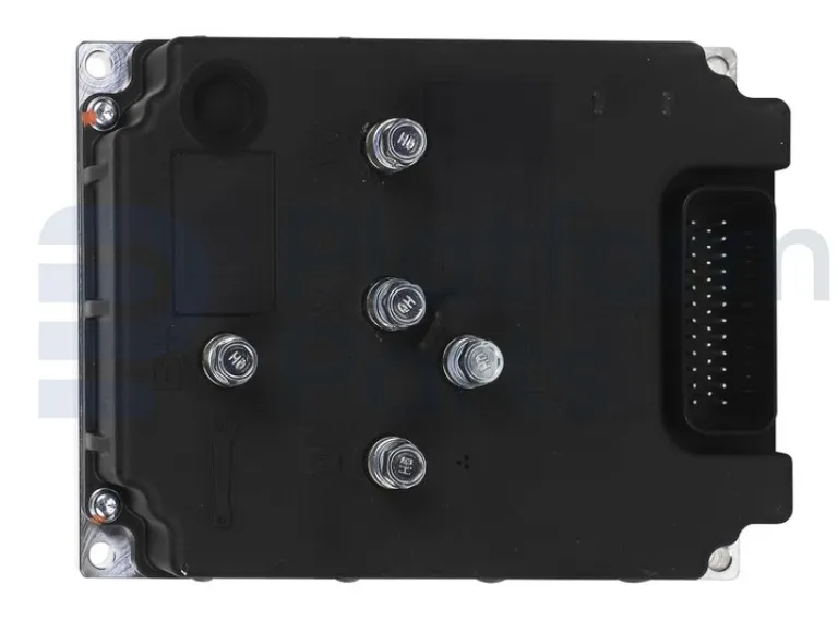 Dingli - Electronic control unit - DL-00006263