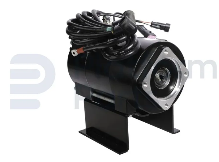 Dingli - Electric motor - DL-00008010